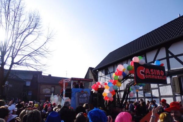 2015-karneval-32F49AC7B5-8EBF-E597-DEC2-0B9293E43786.jpg
